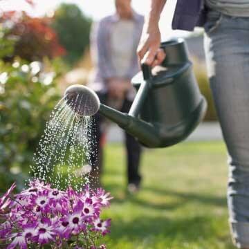 Utilize para  ver mais