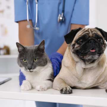 Utilize para  ver mais