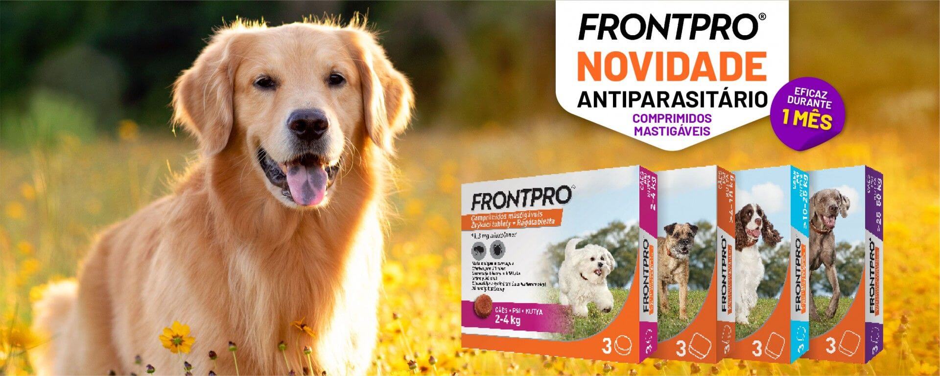 Utilize para  ver mais_1