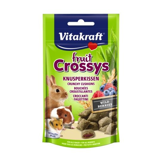SNACK FRUIT CROSSYS COELHO INDIA 50GR
