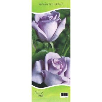 ROSEIRA GRAND NOCHE AZUL