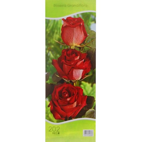 ROSEIRA GRAND CHRYS IMP VRM ROSEIRA GRAND CHRYS IMP VRM