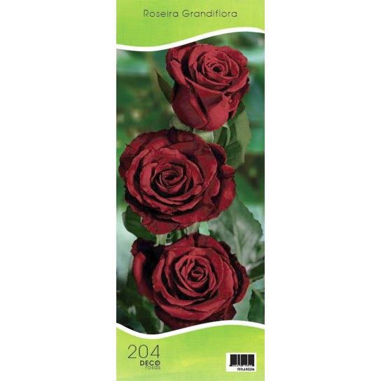 ROSEIRA GRAND PERLA NEGRA ROSEIRA GRAND PERLA NEGRA