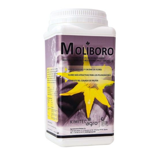 MOLIBORO 1KG