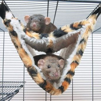 CAMA SUSPENSA DE PELO P/ FURAO