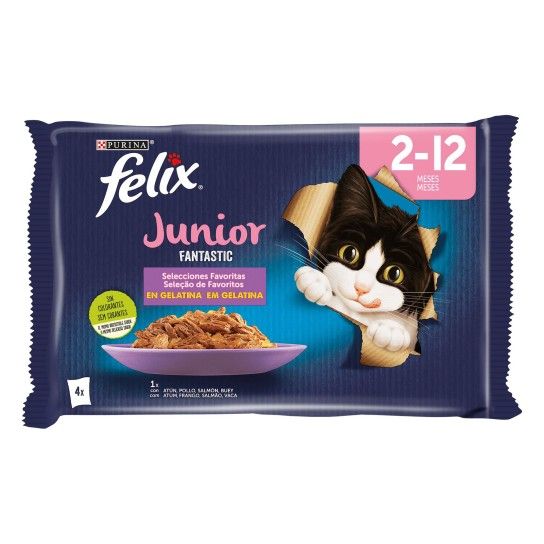 ALIMENTO GATO FANTASTIC JUNIOR 4X85GR ALIMENTO GATO FANTASTIC JUNIOR 4X85GR