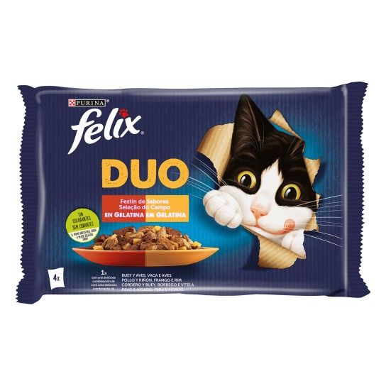 FELIX FANT DUO DELICIOUS 4X85GR