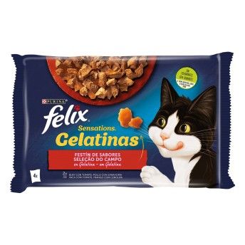 FELIX SENS SEL CAMPO 4X85GR