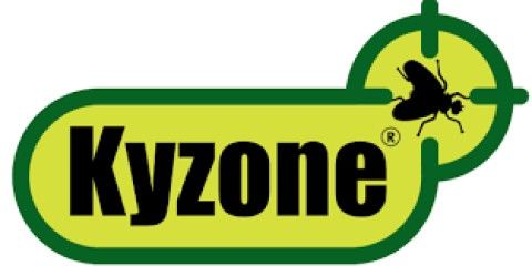 KYZONE