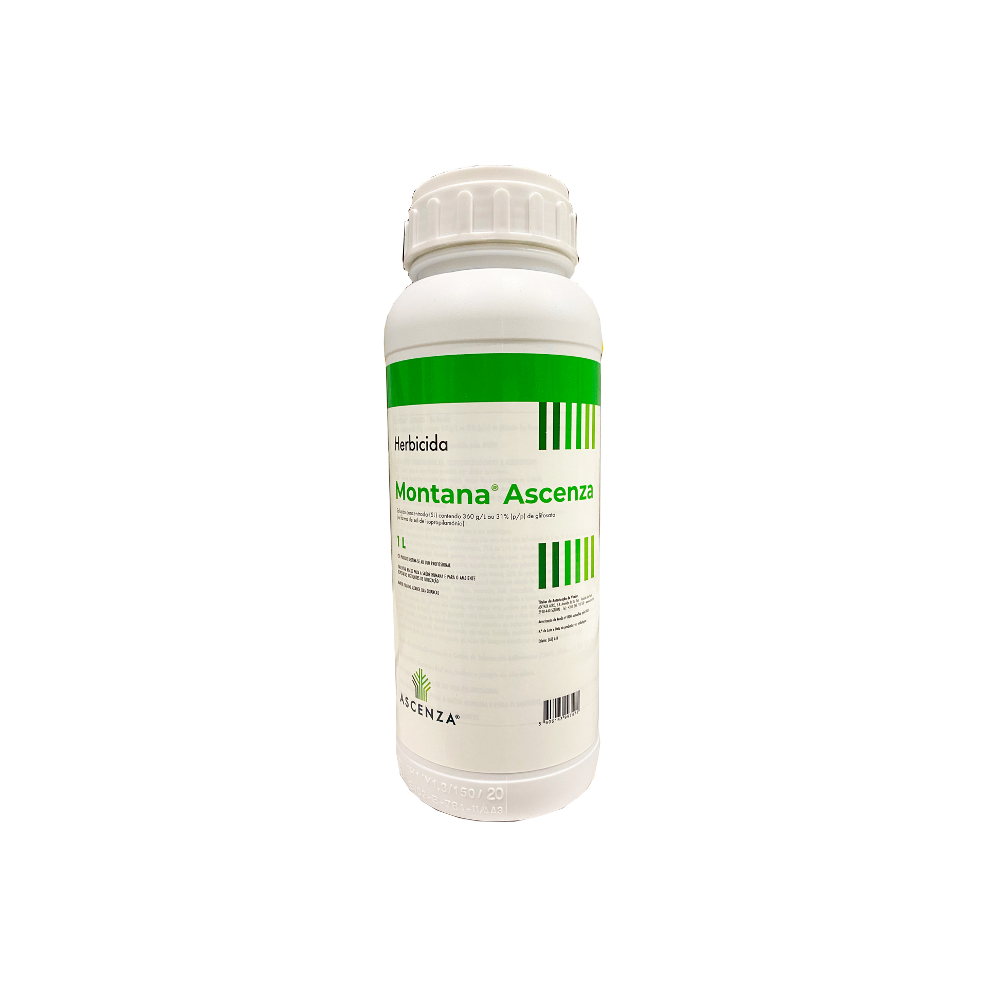 MONTANA ASCENZA 1L