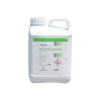 MONTANA ASCENZA 5L