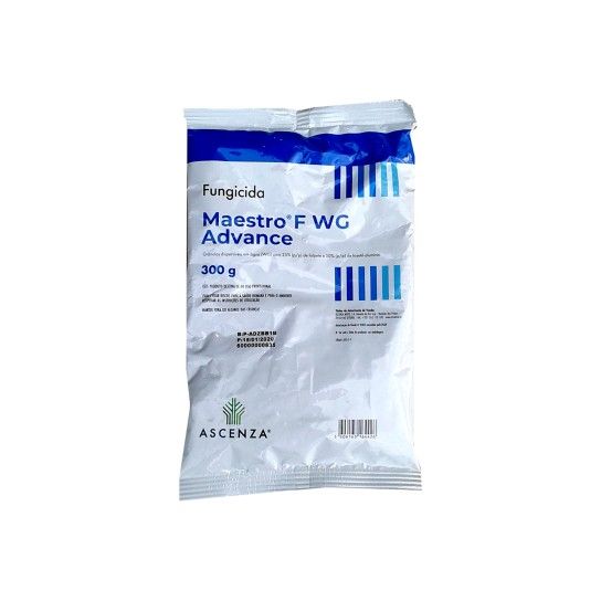 MAESTRO F WG ADVANCE 300G