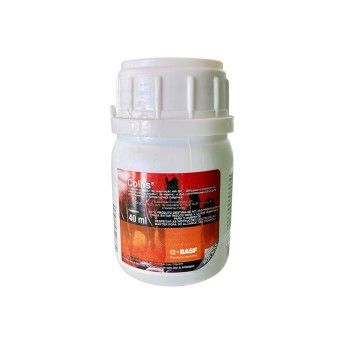 COLLIS 40ML