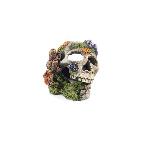 DEC SKULL 195X160X140MM DEC SKULL 195X160X140MM