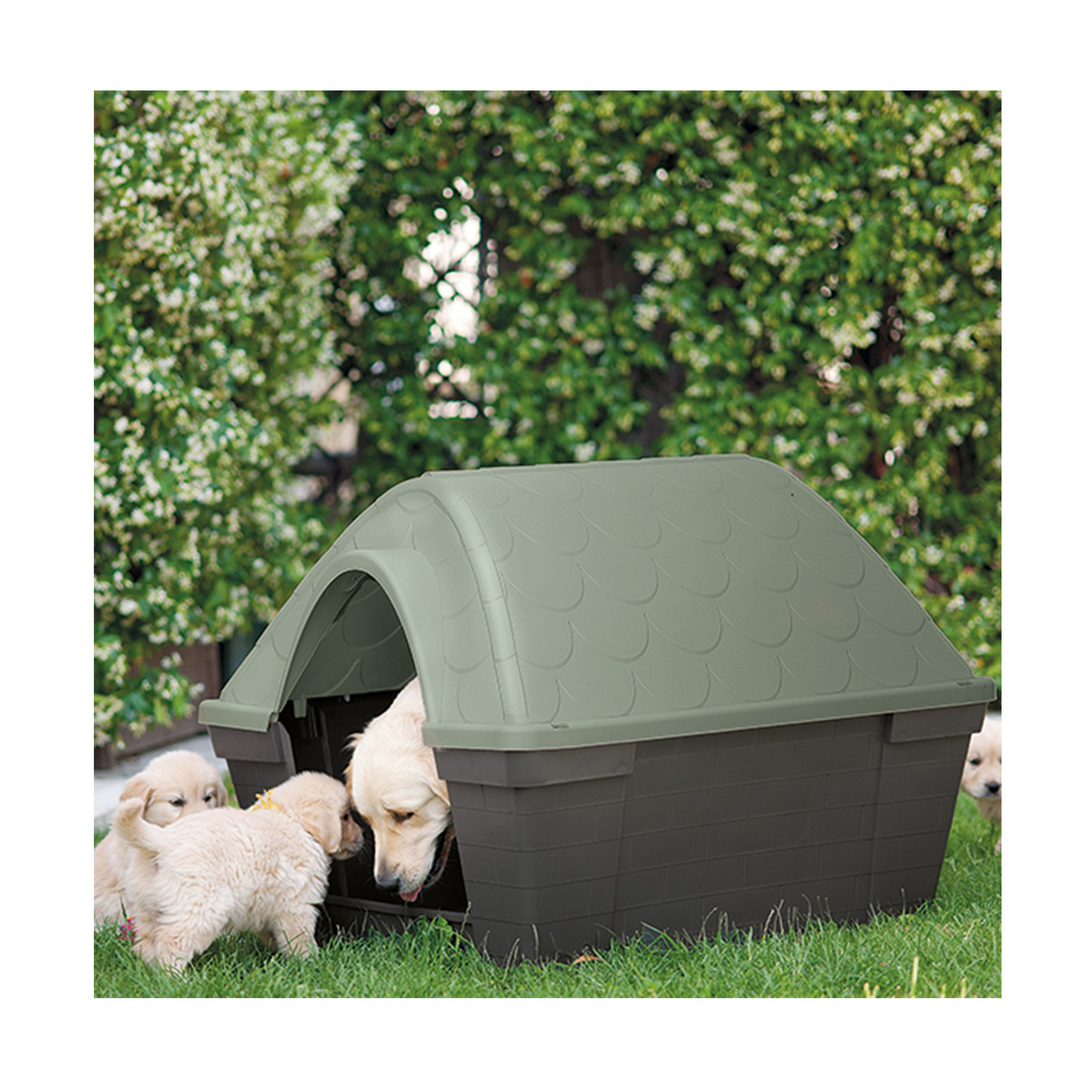 CASOTA GRD FELICE GREEN LINE 96X78X73CM CASOTA GRD FELICE GREEN LINE 96X78X73CM