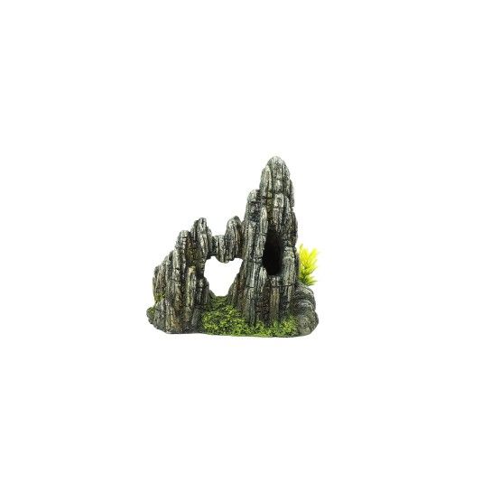 DEC FORMACAO ROCHOSA PLANTAS DEC FORMACAO ROCHOSA PLANTAS