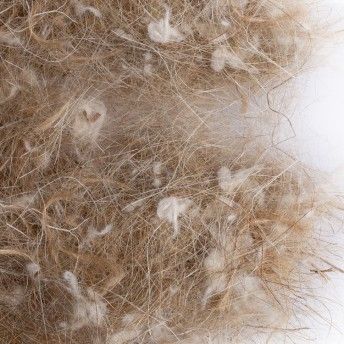 NINHO CANARIO EXOTICO 500GR