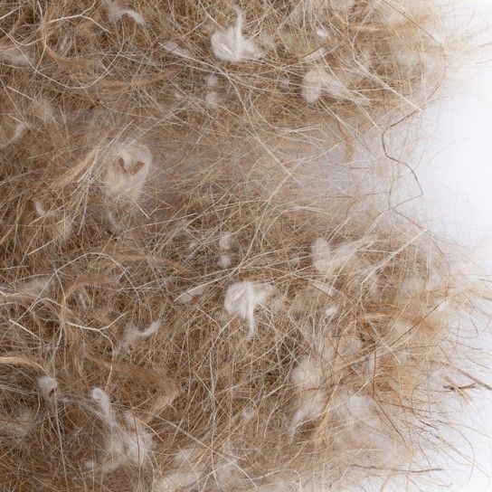 NINHO CANARIO EXOTICO 50GR