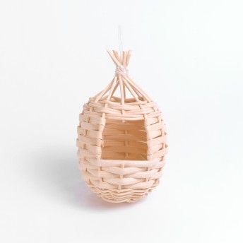 NINHO VERGA REDONDO EXOTICO