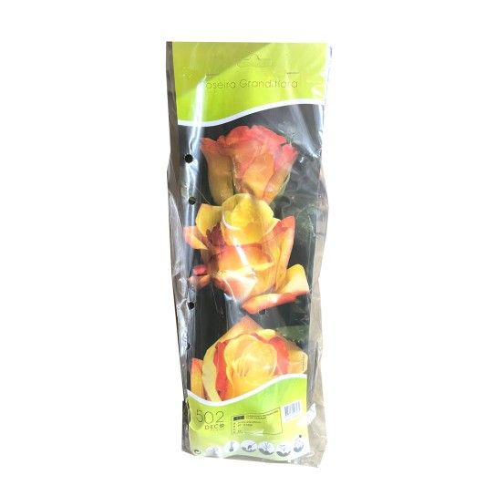 ROSEIRA GRAND SOLEIL AMA BICOL ROSEIRA GRAND SOLEIL AMA BICOL