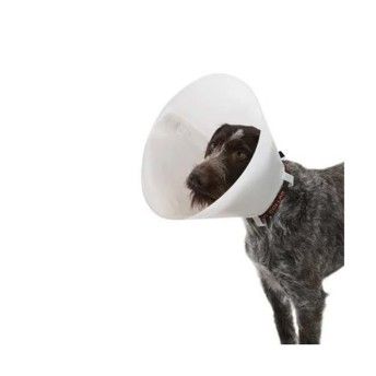 COLAR C�O TRANSPARENTE 10CM 1UN