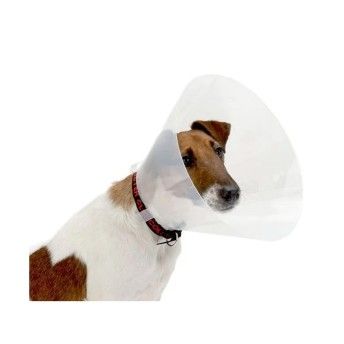 COLAR C�O TRANSPARENTE 20CM 1UN