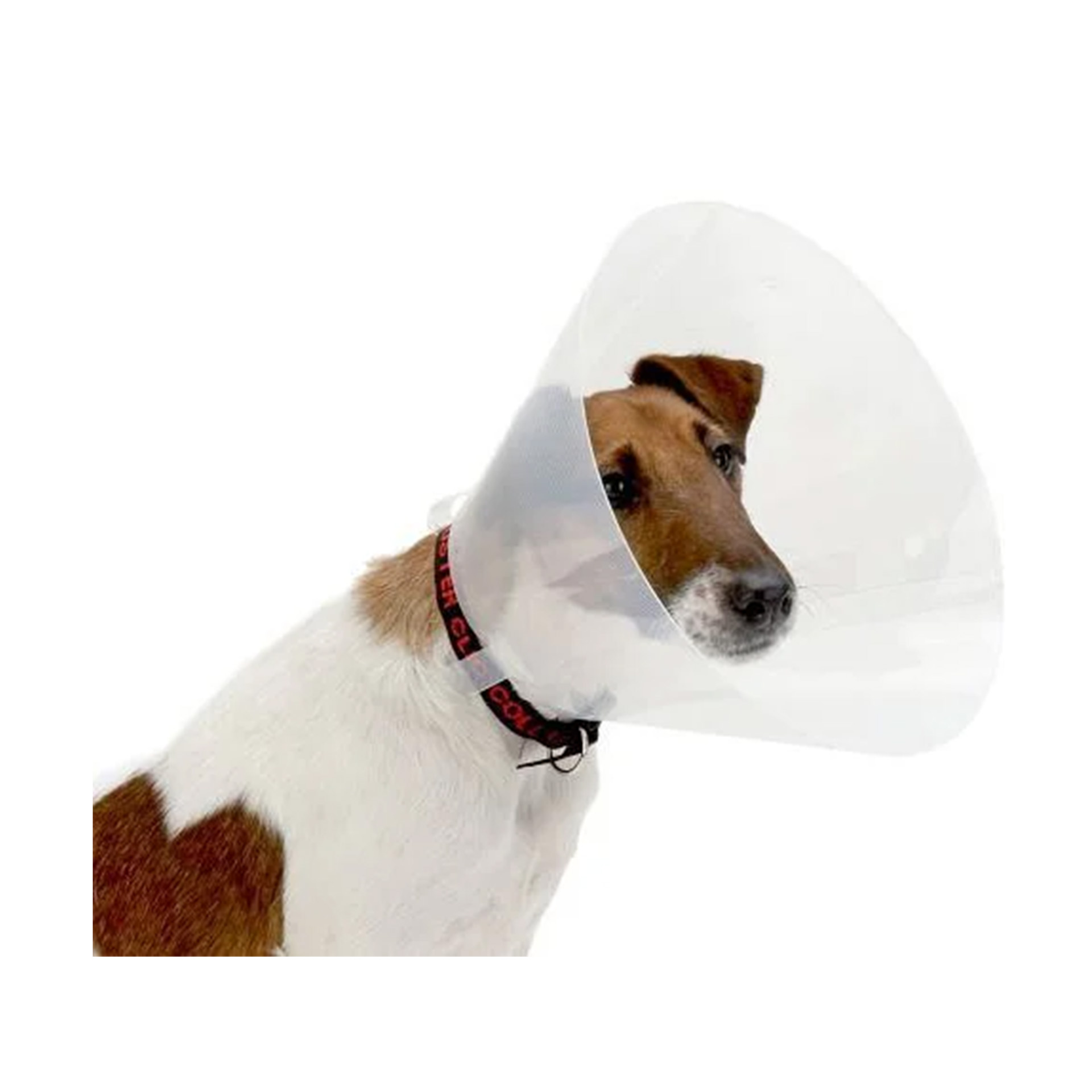 COLAR CÃO TRANSPARENTE 7,5CM 1UN COLAR CÃO TRANSPARENTE 7,5CM 1UN