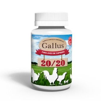 GALLUS 20/20 250G