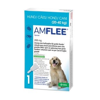 AMFLEE CAES 268MG 1 PIPETA