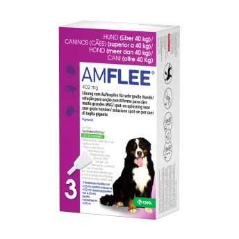 AMFLEE SPOT ON CAO 402MG 3 PIPETAS