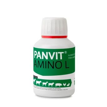 PANVIT AMINO L 100ML