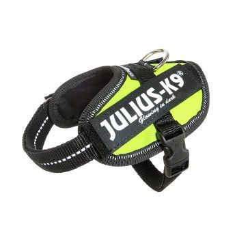 PEITORAL JULIUS K9 BABY 2 NEON
