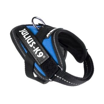 PEITORAL JULIUS K9 BABY 1 AZUL