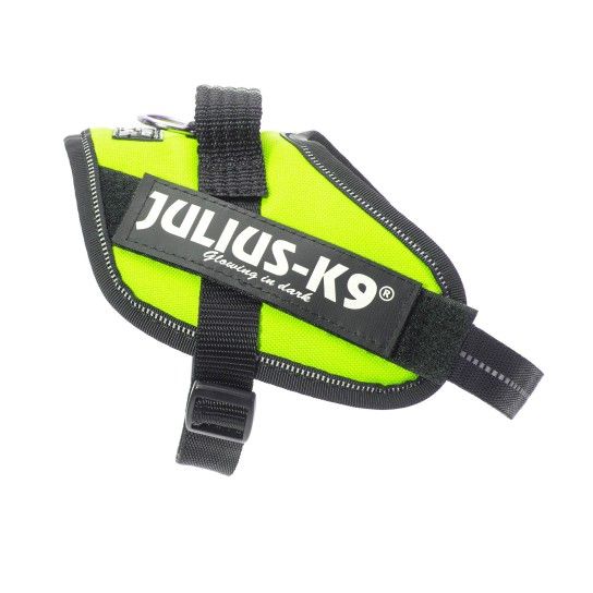 PEITORAL JULIUS K9 MINI NEON
