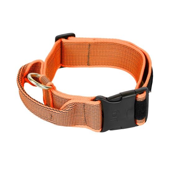 COLEIRA JULIUS 40MM LARANJA S/M
