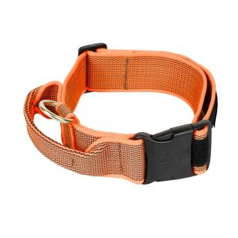 COLEIRA JULIUS 50MM LARANJA M/L