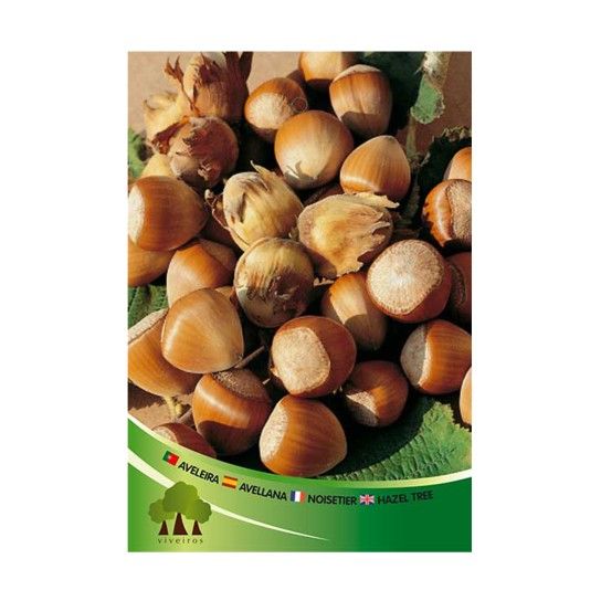 ARV AVELEIRA EMBALADA