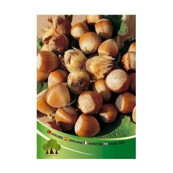 ARV AVELEIRA EMBALADA