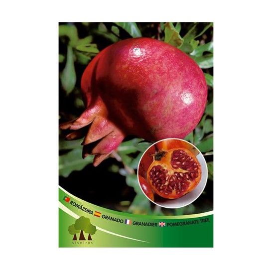 ARV ROMANZEIRAS ARV ROMANZEIRAS