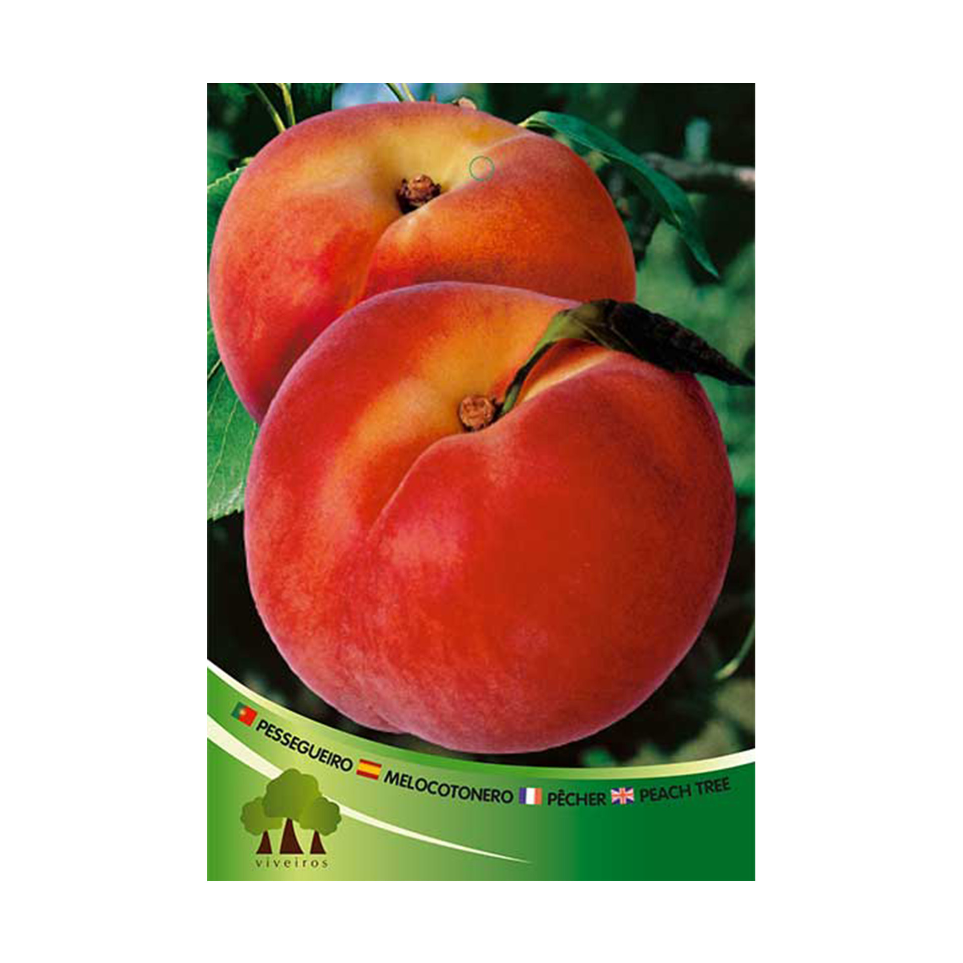 ARV PESSEGUEIRO VRM SPINGCREST ARV PESSEGUEIRO VRM SPINGCREST