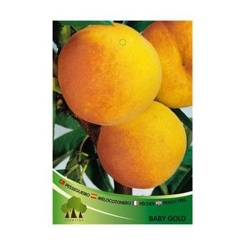 ARV PESSEGUEIRO BABY GOLD 9