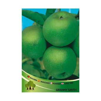 ARV MACIEIRA GRANNY SMITH