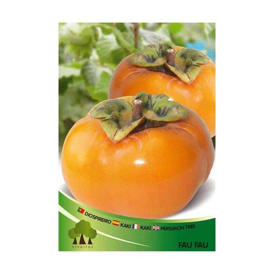 ARV DIOSPIREIRO RIJO FAU FAU