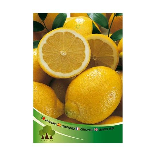 ARV LIMOEIRO EUREKA VASO