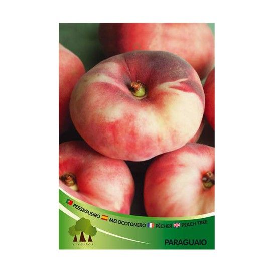 ARV PESSEGUEIRO PARAGUAI ARV PESSEGUEIRO PARAGUAI