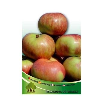 ARV MACIEIRA RISCAD PALMELA