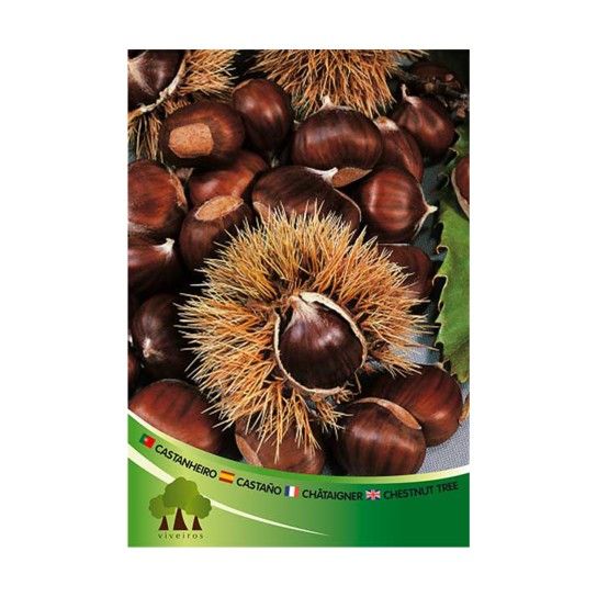 ARV CASTANHEIRO MARSOL VASO