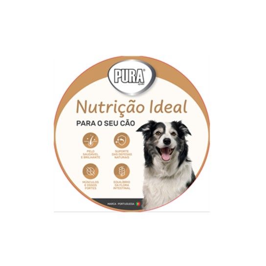 TEIMOSO CÃO NUTRIÇÃO IDEAL PURA SPECIAL TEIMOSO CÃO NUTRIÇÃO IDEAL PURA SPECIAL