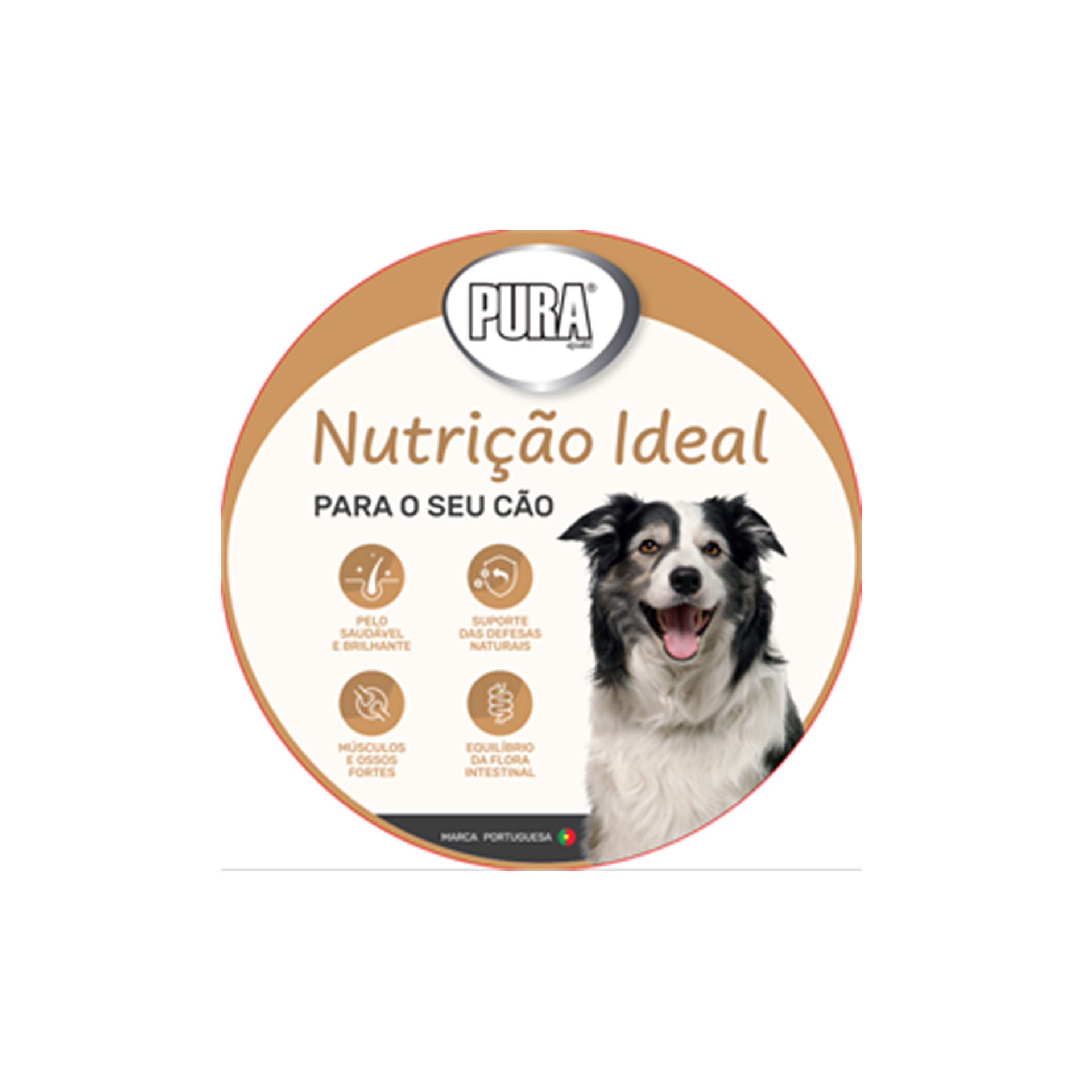 TEIMOSO CÃO NUTRIÇÃO IDEAL PURA SPECIAL TEIMOSO CÃO NUTRIÇÃO IDEAL PURA SPECIAL