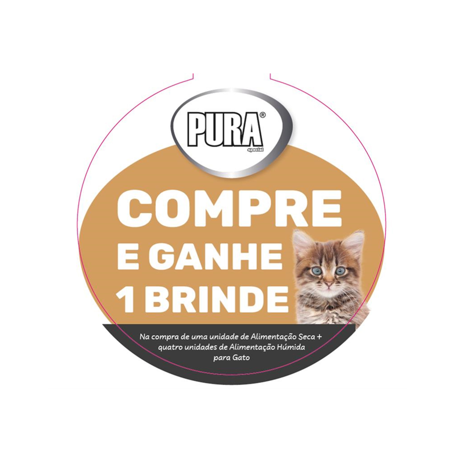 TEIMOSO GATO PROMO PURA SPECIAL TEIMOSO GATO PROMO PURA SPECIAL